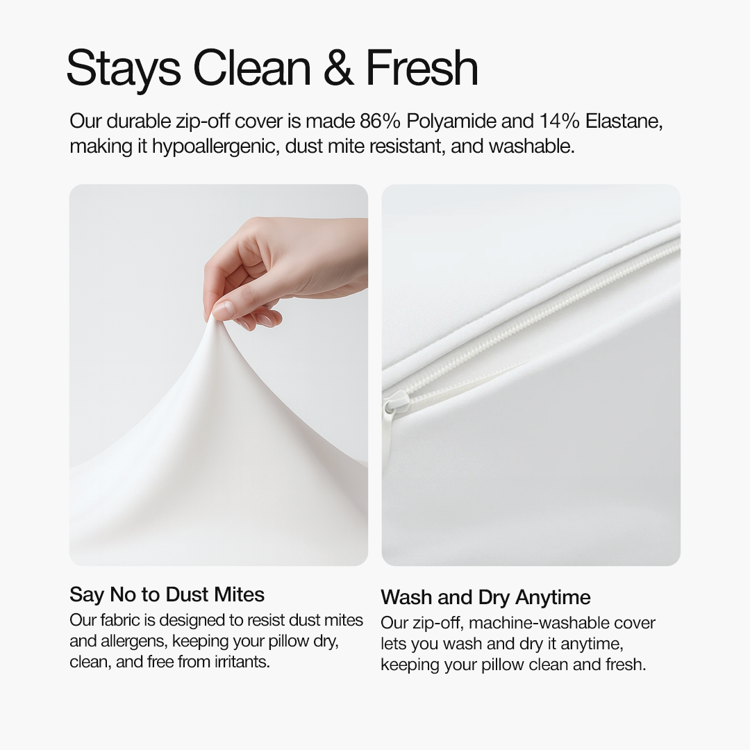 A single green leaf against a white background.